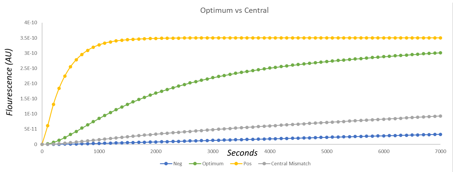 Graph of the results of the modelling of fluorescence over time