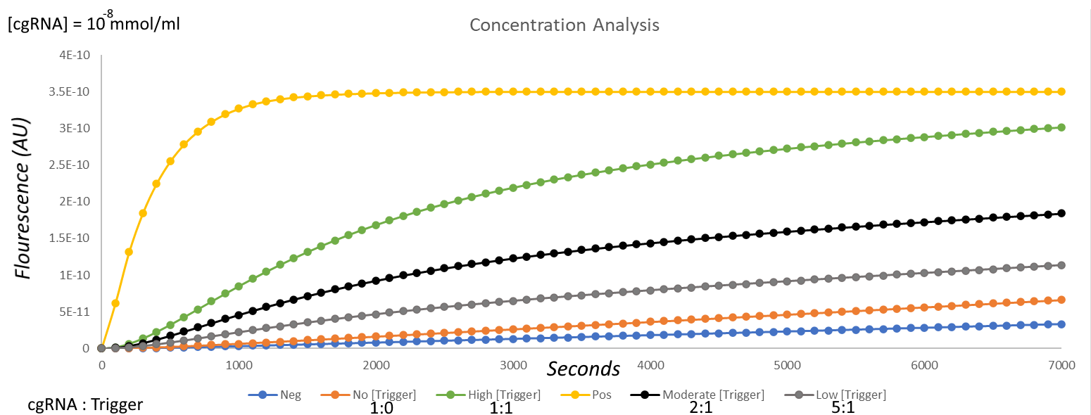 Comparison of fluorescence using the cgRNA with the shorter sensing loop at different concentrations