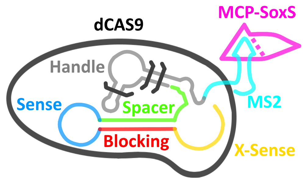 Representation of our switch in an 'off' state