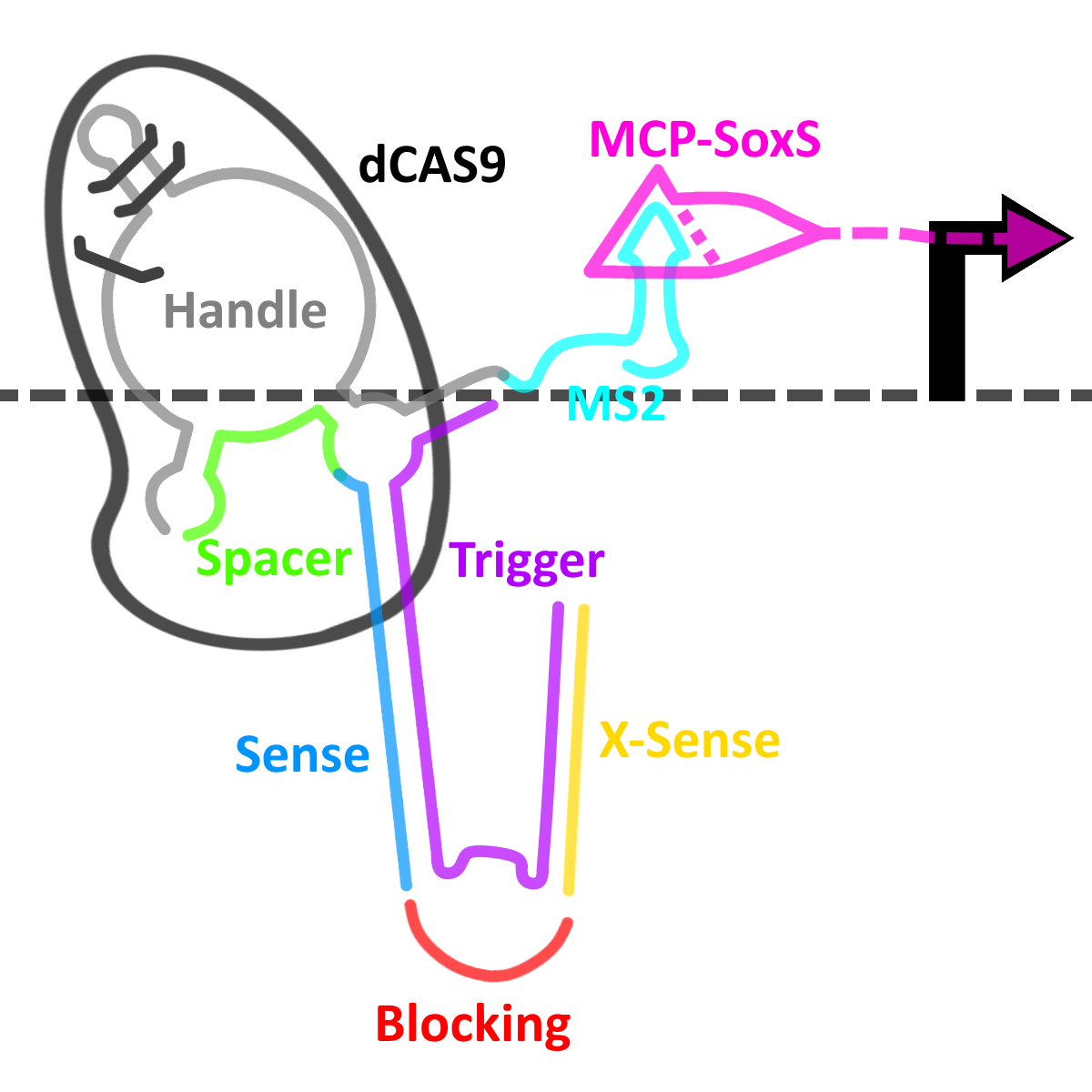 Representation of our switch in an 'on' state