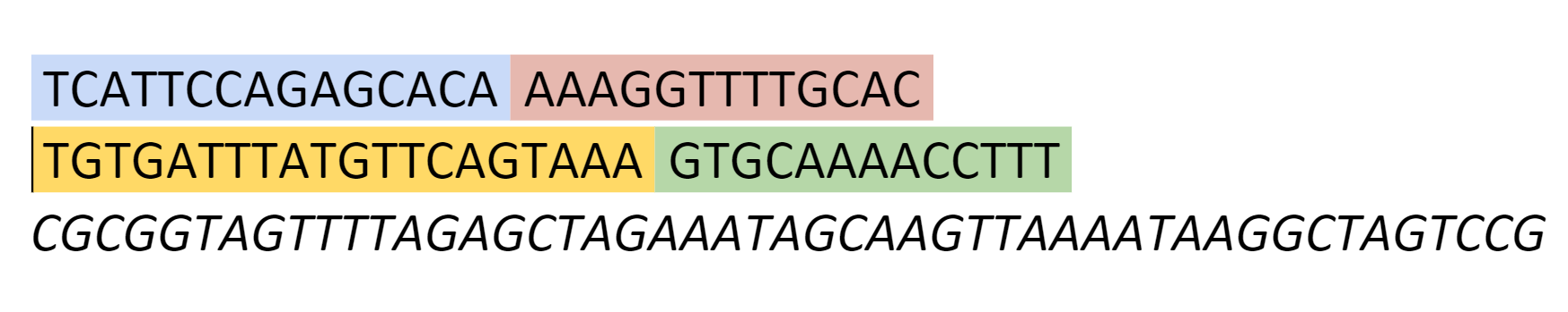 The gene sequence we designed