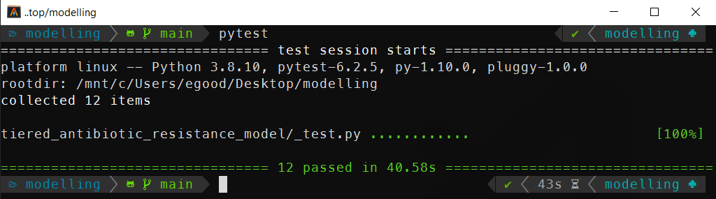 A screenshot of the output of running the pytest command